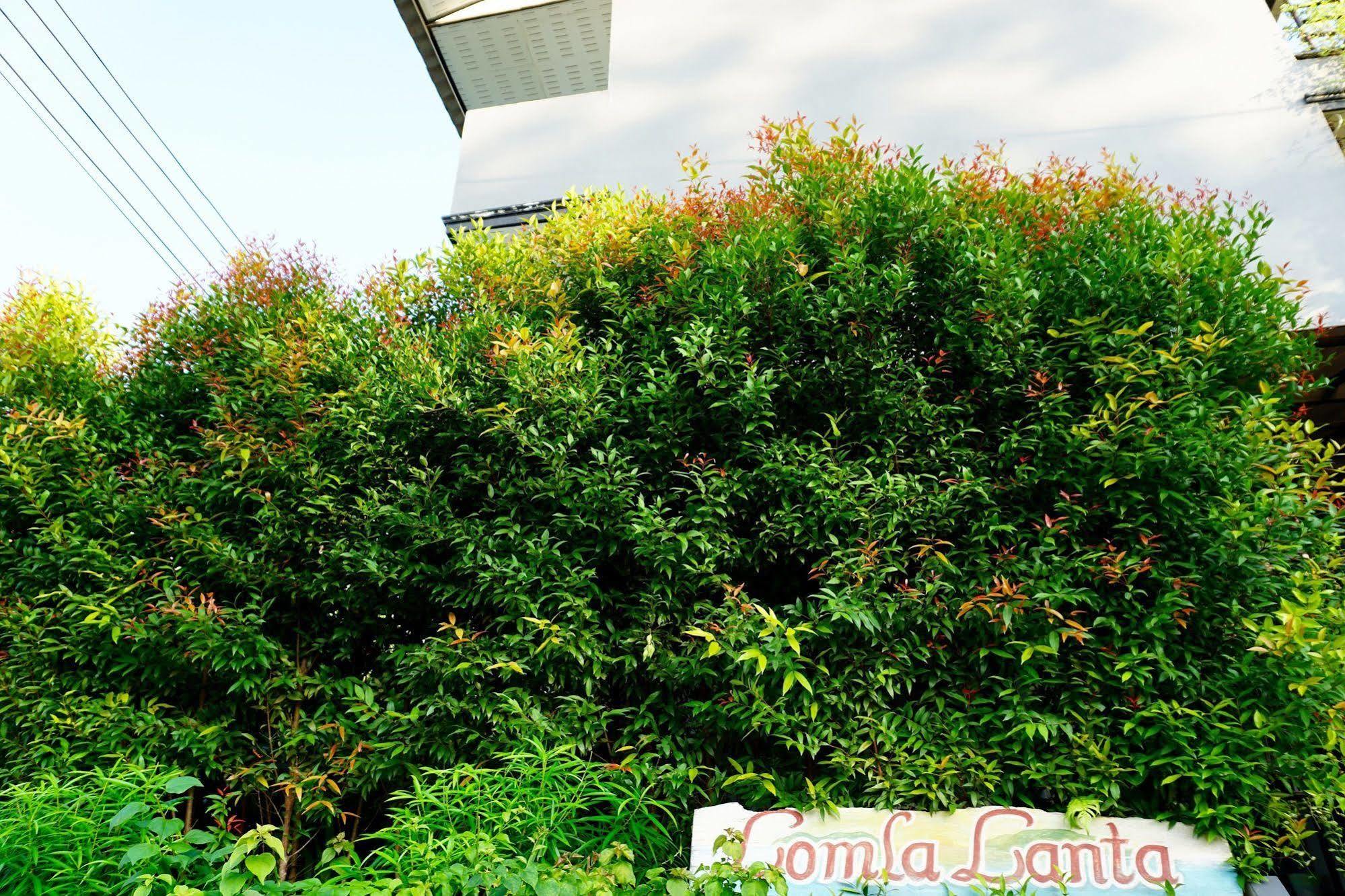Lom La Lanta Koh Lanta Exterior foto